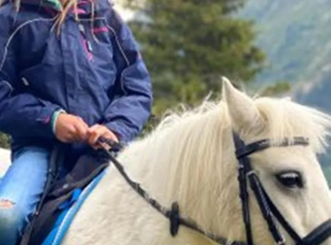Alpengasthof Gaislach Alm Гостевой дом Зёльден